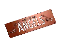 ANGELS LOGO.webp